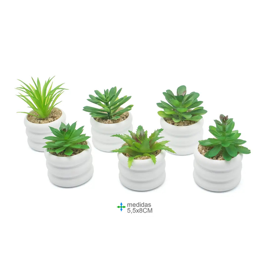 Artificial Succulents 5.5x8cm